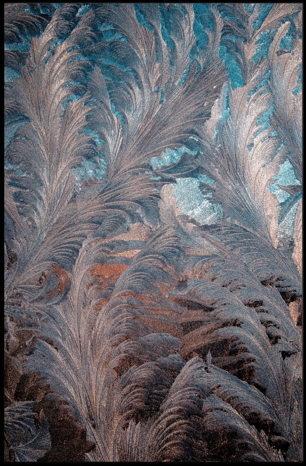 Abstract Feathered Elegance Abstract Poster