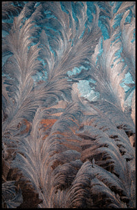 Abstract Feathered Elegance Abstract Poster