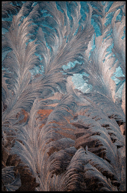 Abstract Feathered Elegance Abstract Poster