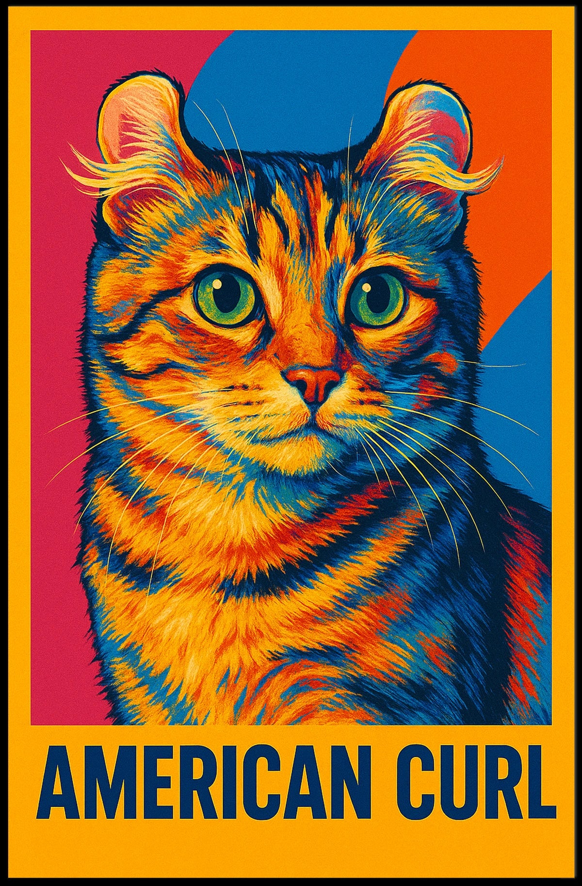 American Curl Poster