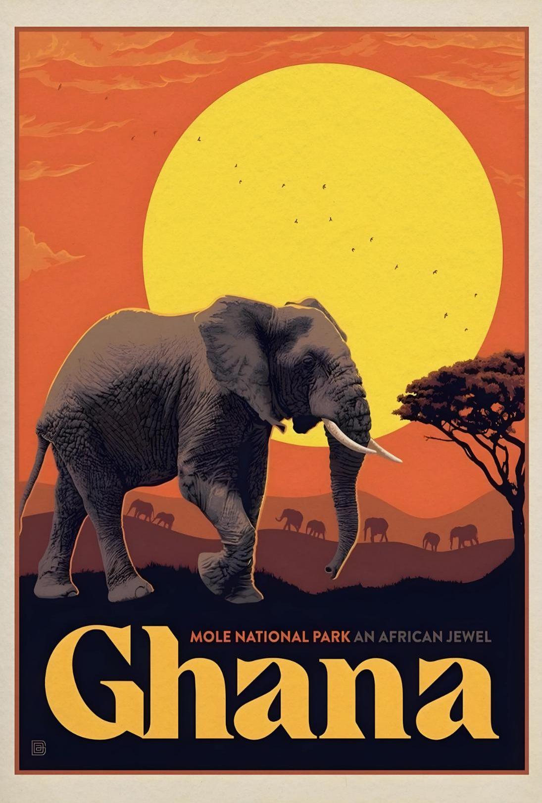 Mole National Park African Wildlife Adventure Travel Poster
