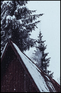 Winter Serenity Poster