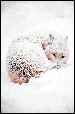 Arctic Wolf Serenity in Snowy Wilderness Poster