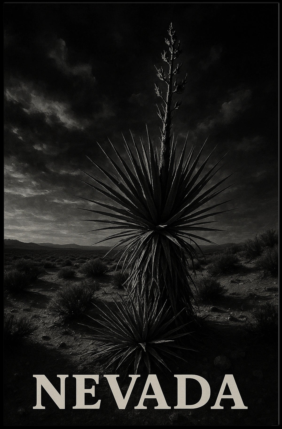 Nevada Desert Landscape Poster