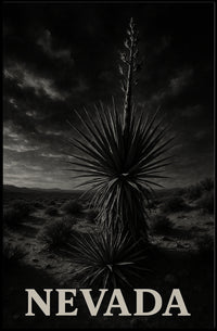 Nevada Desert Landscape Poster