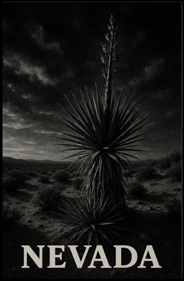 Nevada Desert Landscape Poster