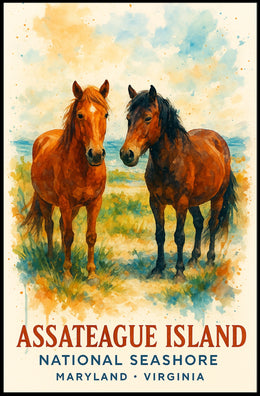 Assateague Island Wild Horses National Park Poster