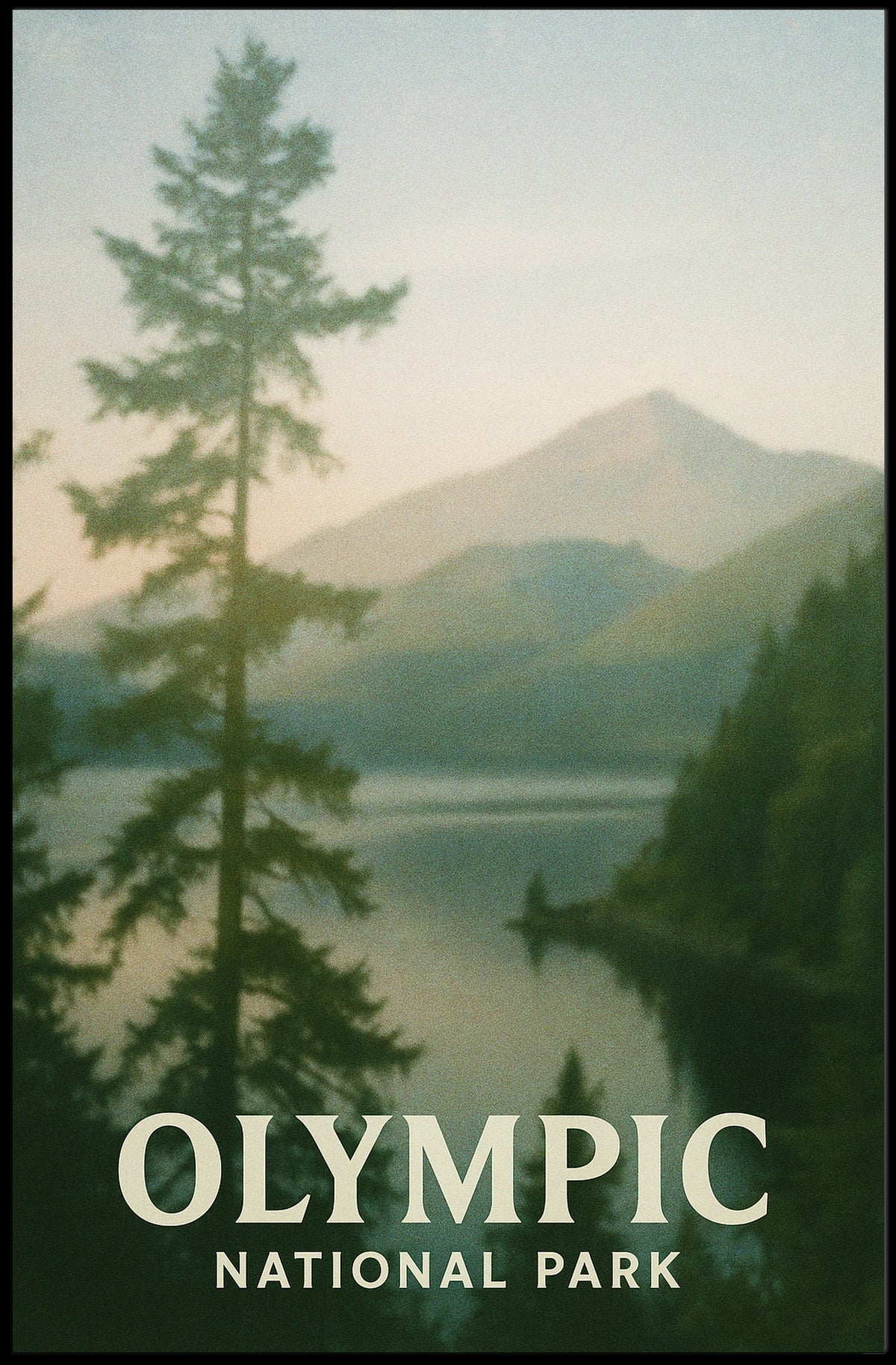 Olympic National Park Poster