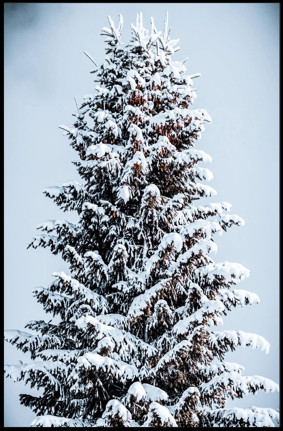 Winter Serenity Poster