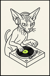 Dj Cat Grooves Poster