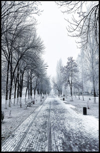 Winter Wonderland Pathway Poster