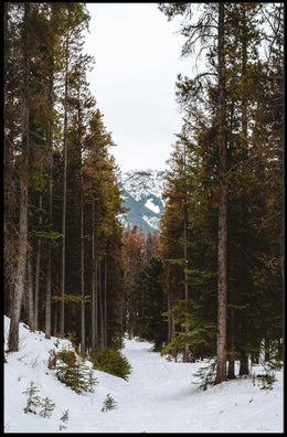 Serene Winter Landscape National Park Poster