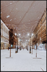 Winter Wonderland Street Poster