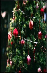 Festive Christmas Tree Poster