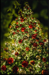 Festive Christmas Tree Poster