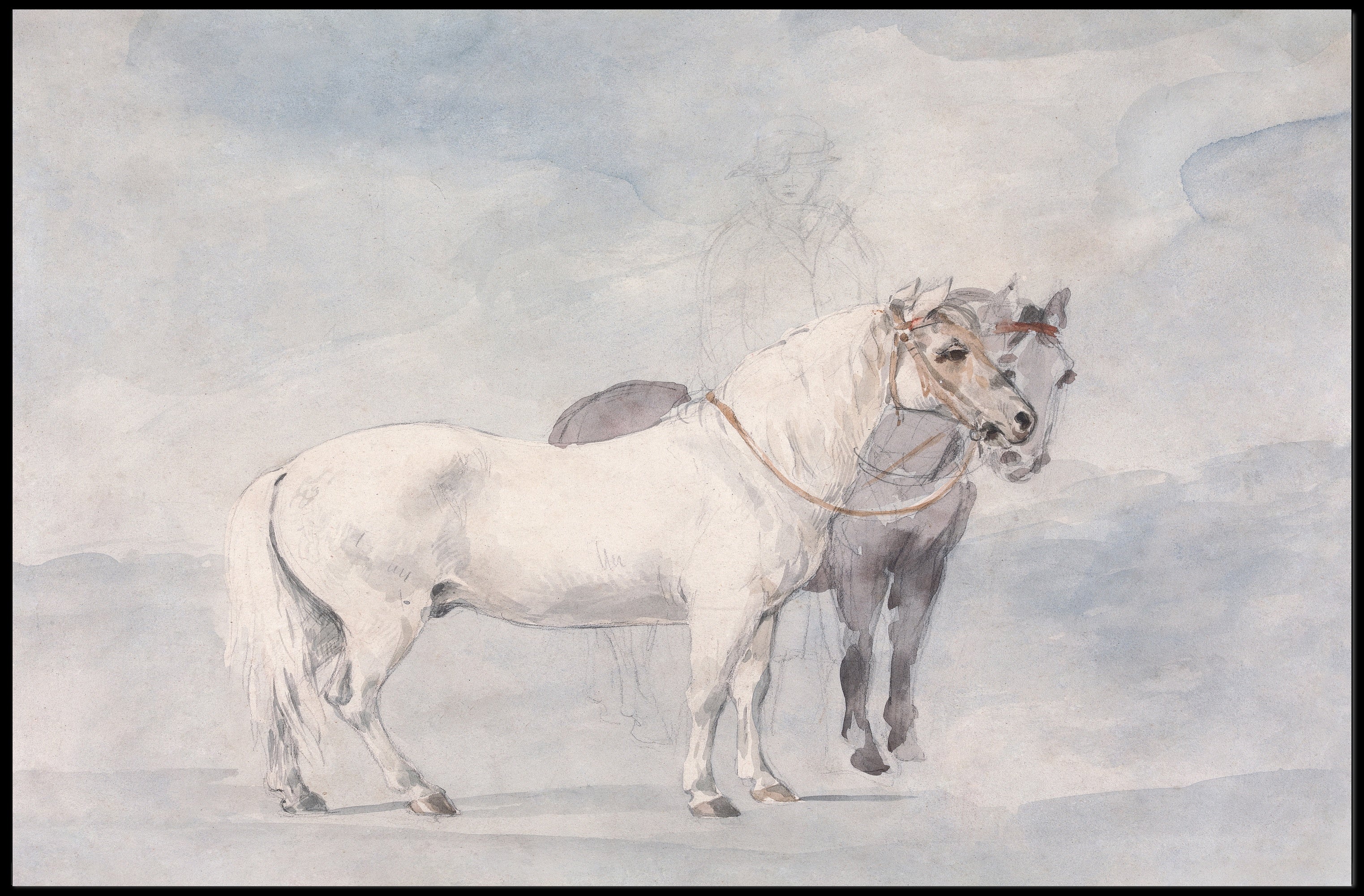 Equestrian Elegance Poster