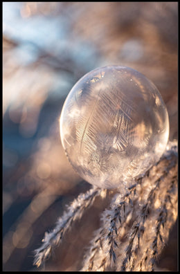 Frozen Bubble Sunrise: Abstract or Artistic Poster