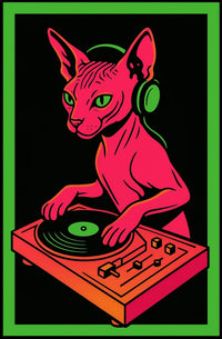 Dj Cat Vibes Poster