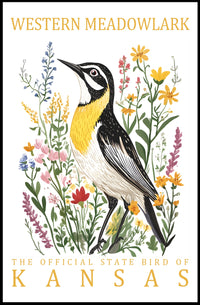 Western Meadowlark Kansas State Bird Art Poster