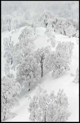 Serene Winter Wonderland Photorealistic National Park Poster