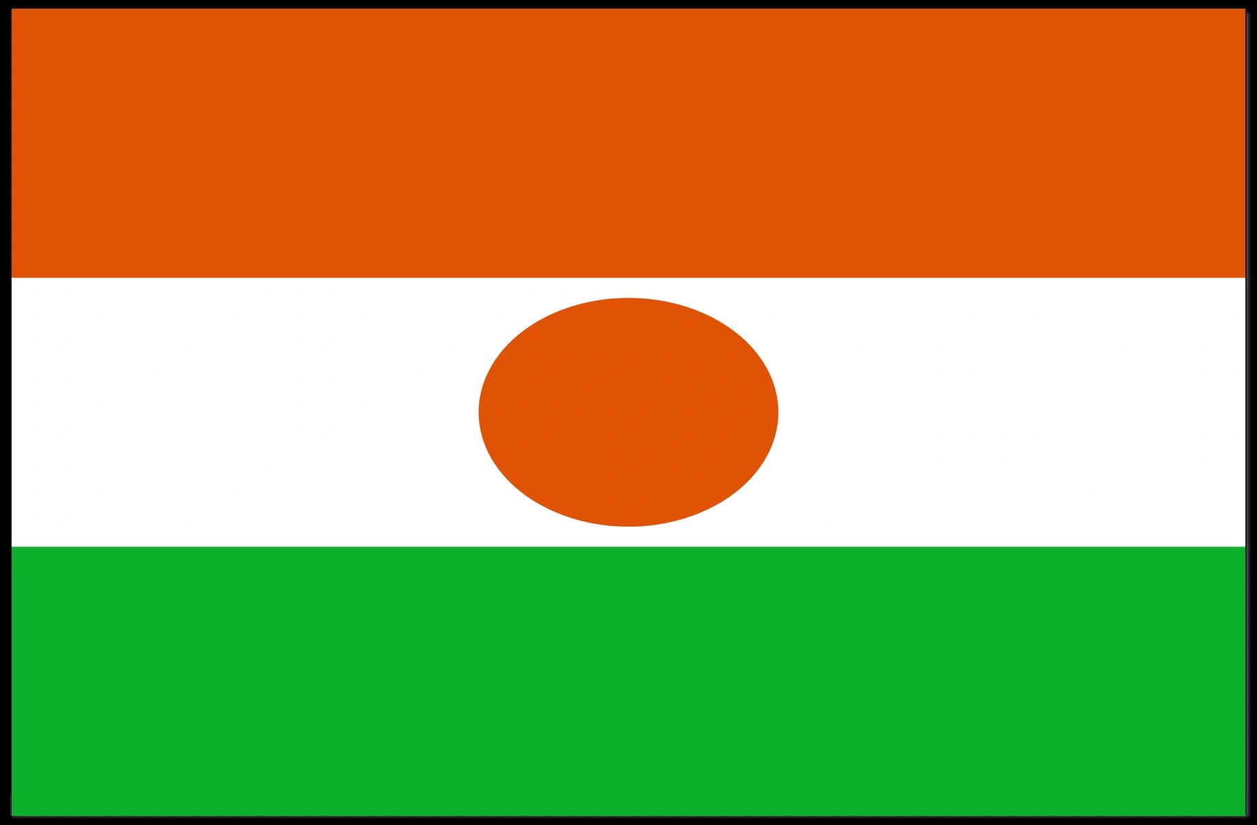 Niger Flag Poster