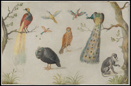 Exotic Wildlife in Vintage Illustration Animal Poster
