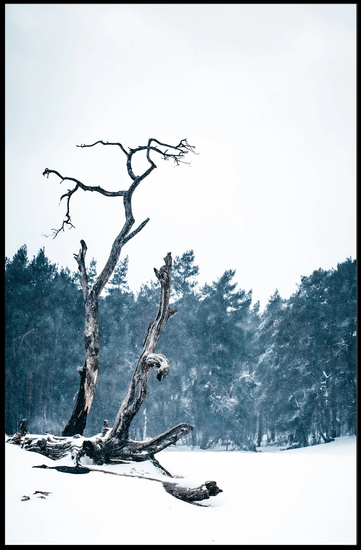 WinterS Embrace Poster