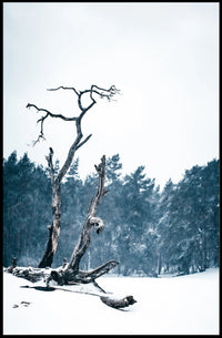 WinterS Embrace Poster