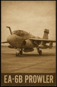 EA-6B Prowler Poster
