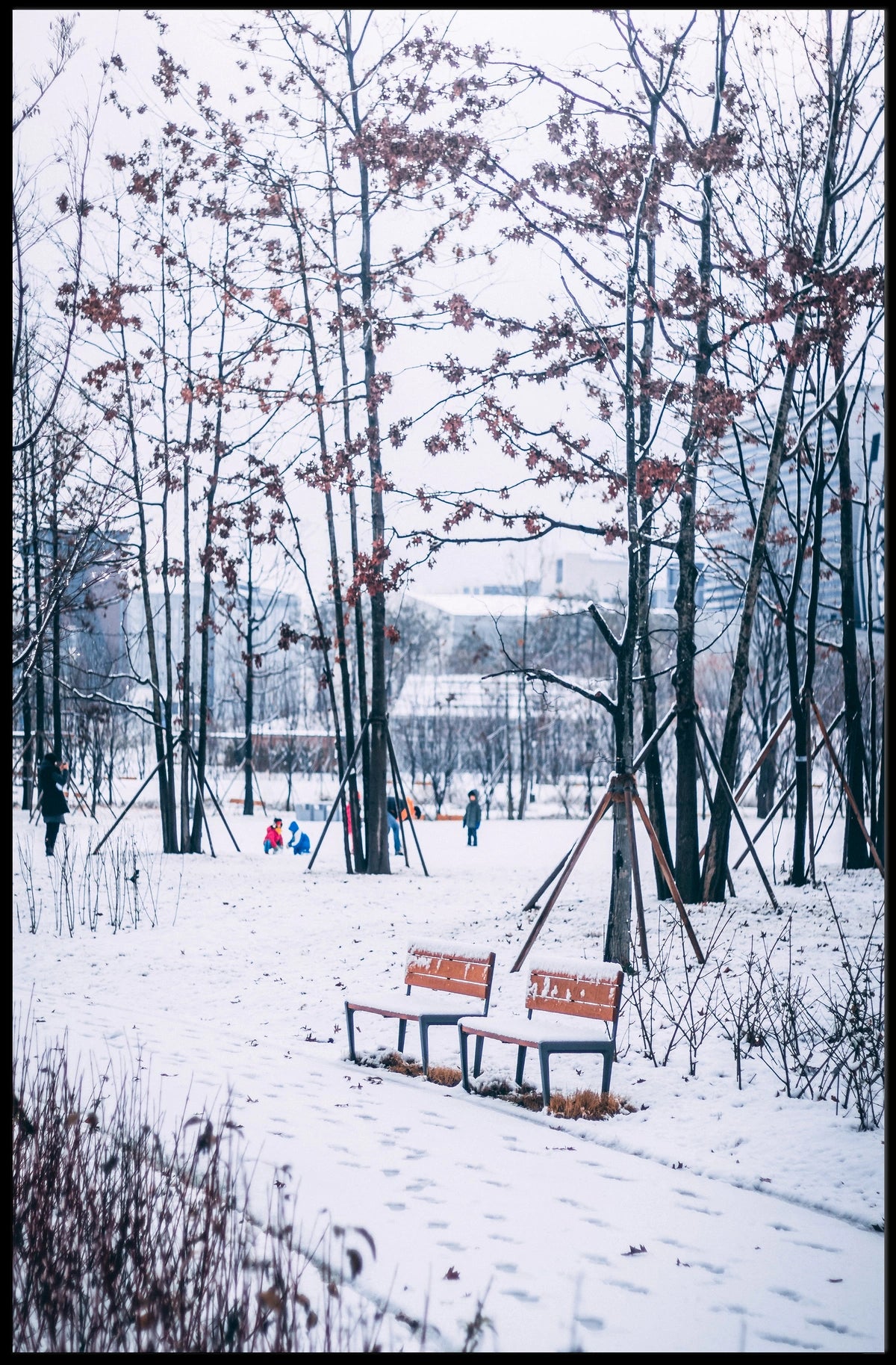 Winter Serenity In The Park Poster