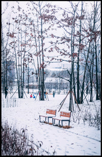 Winter Serenity In The Park Poster