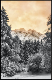 Serene Winter Landscape Nature National Park Poster