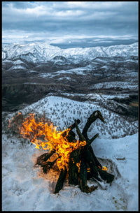 Festive Ornament In Nature Poster
