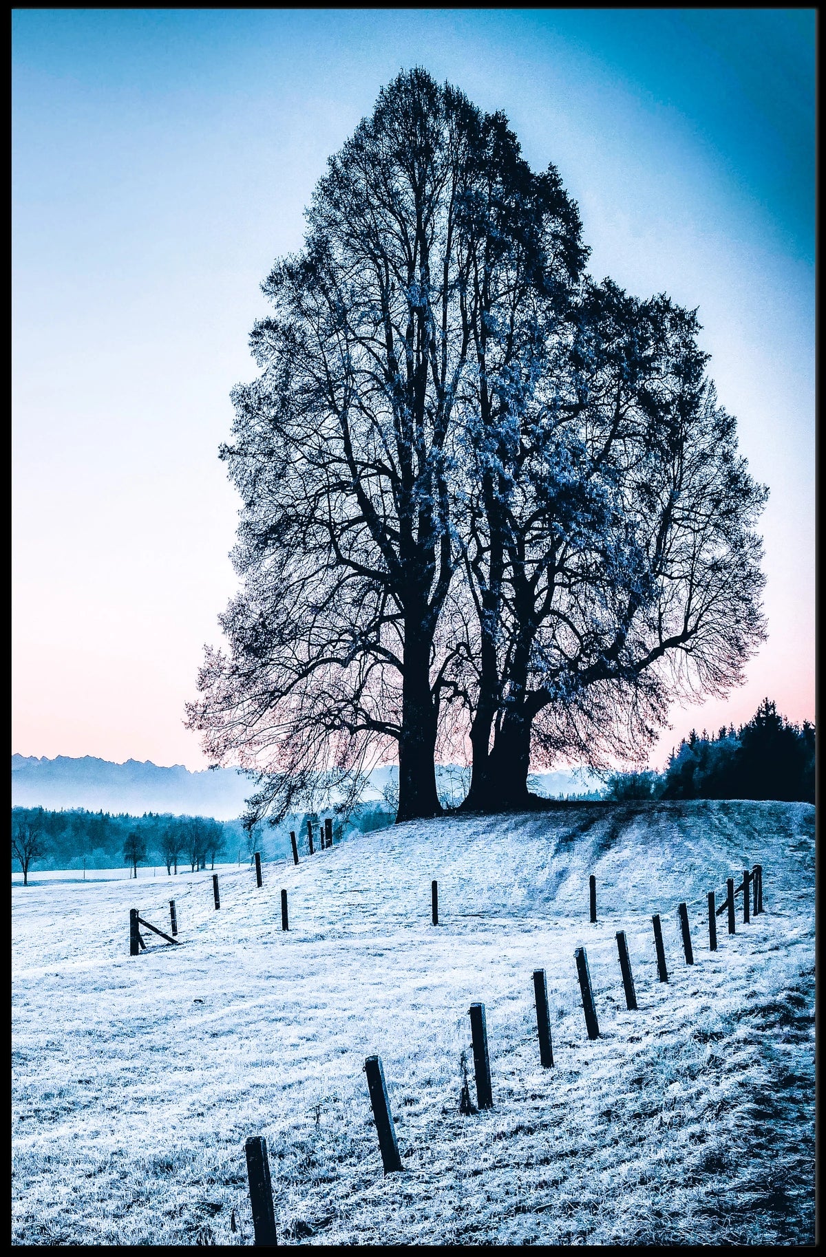 Majestic Winter Tree Scenic Landscape Art Poster