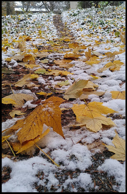 AutumnS First Snow Poster