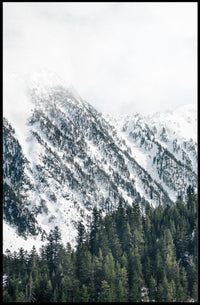 Serene Winter Landscape Photorealistic National Park Poster