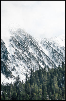 Serene Winter Landscape Photorealistic National Park Poster