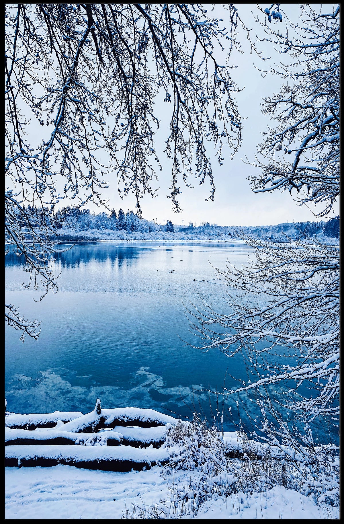 Winter Serenity By The Lake Poster