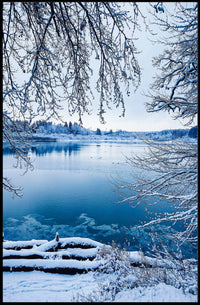 Winter Serenity By The Lake Poster