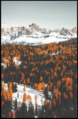 Dolomites Autumn Splendor: Serene Nature National Park Poster