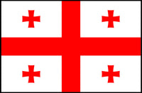 Georgia Flag Poster