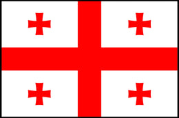 Georgia Flag Poster