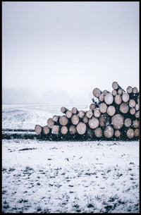 Winter Logging Scene Poster