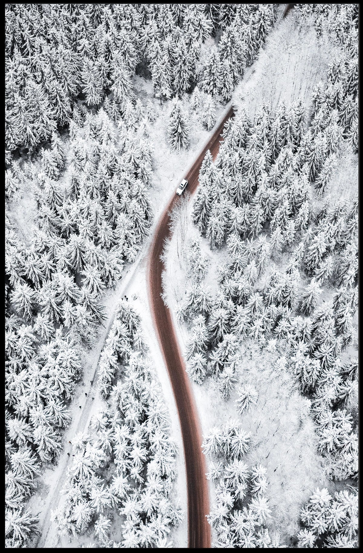 Winter Wonderland Road Poster