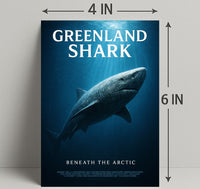 Greenland Shark Beneath the Arctic Poster PosterGoat