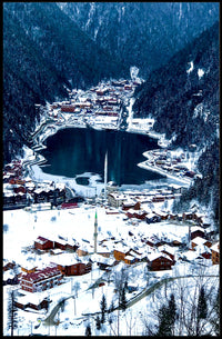 Winter Wonderland In The Mountains Poster