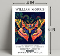 19th-Century Cotton Prints Exhibition: Artistic Poster