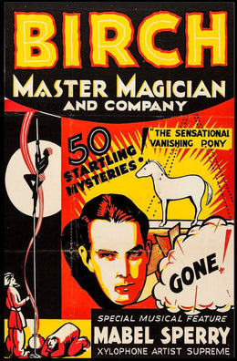 Magic Show Extravaganza Vintage Artistic Poster
