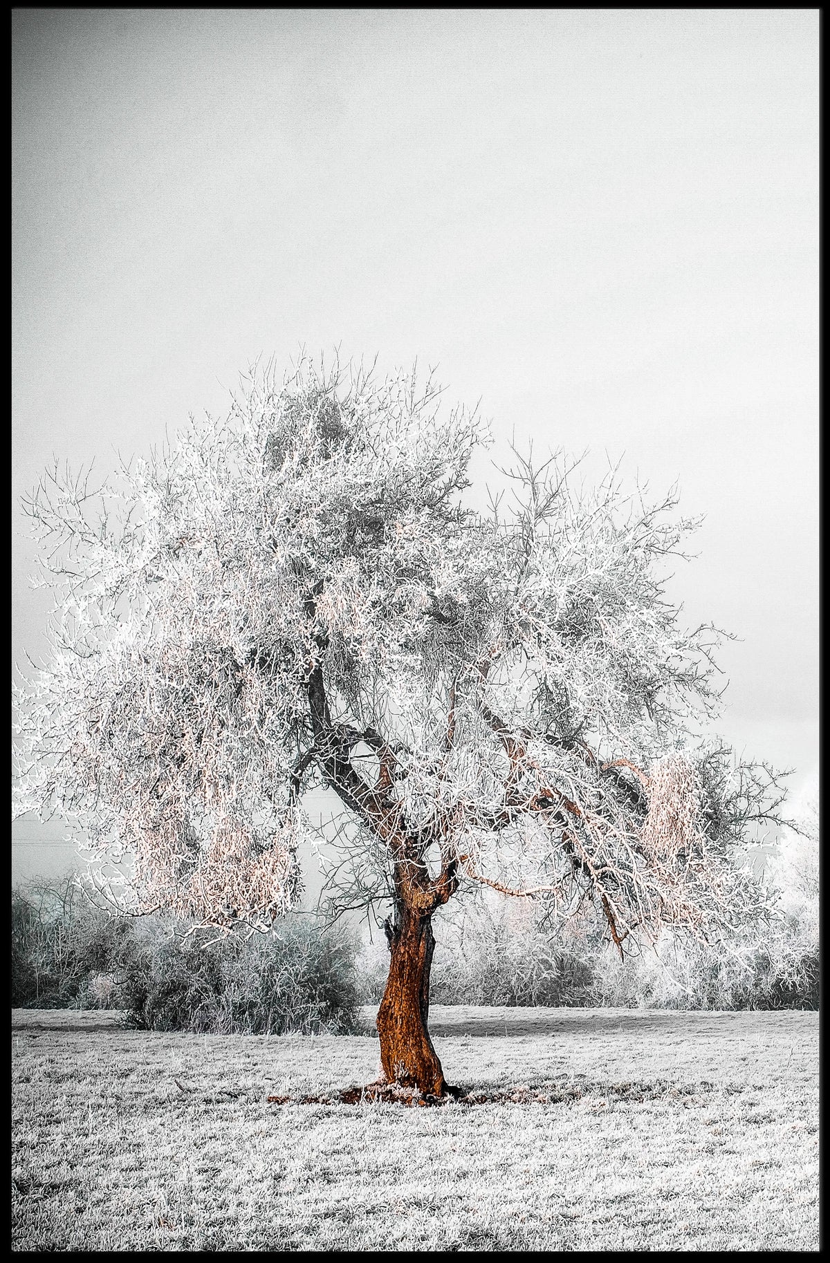 WinterS Embrace Poster