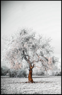 WinterS Embrace Poster